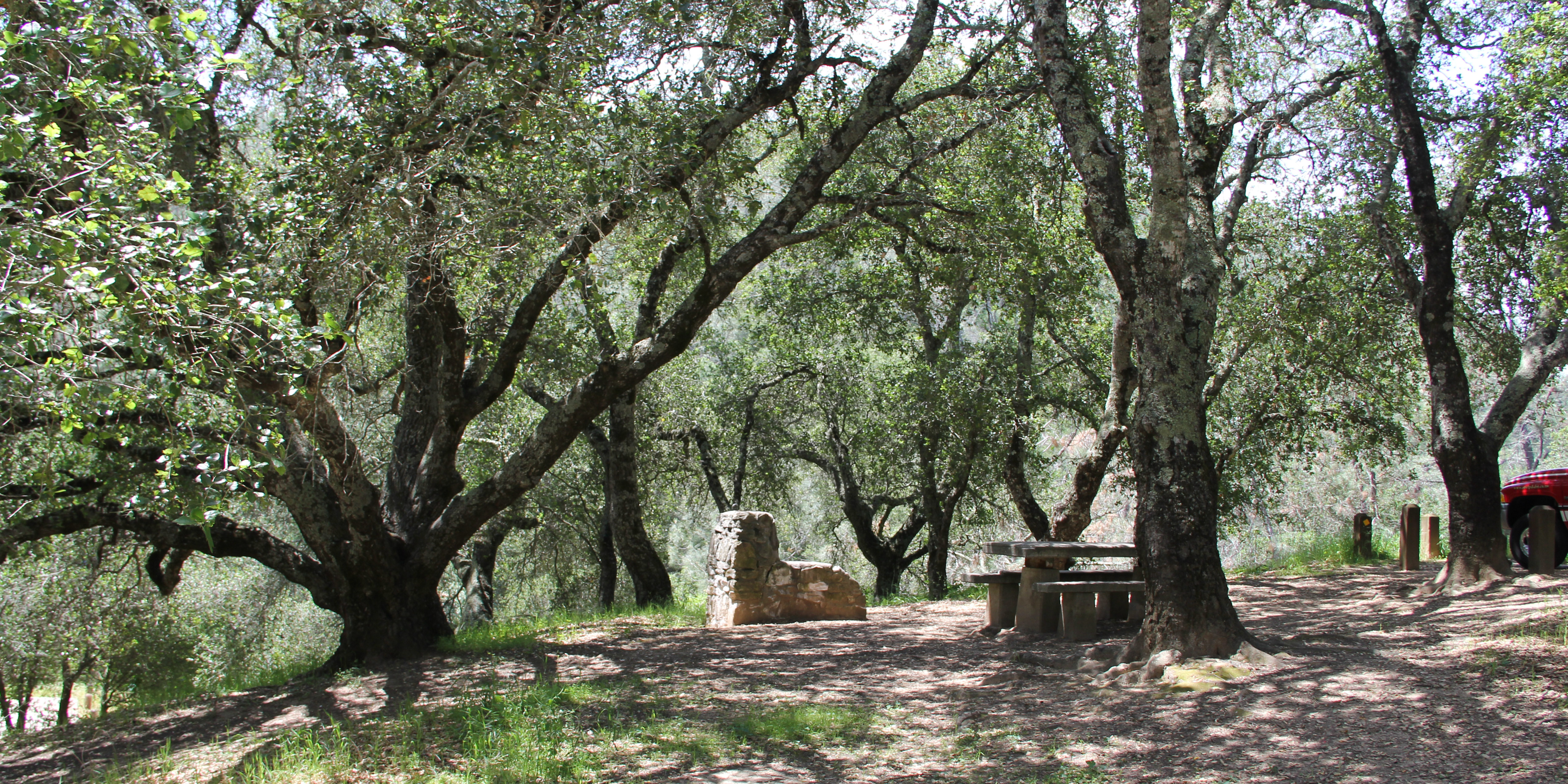 Live Oak Campground Mount Diablo State Park camping in California