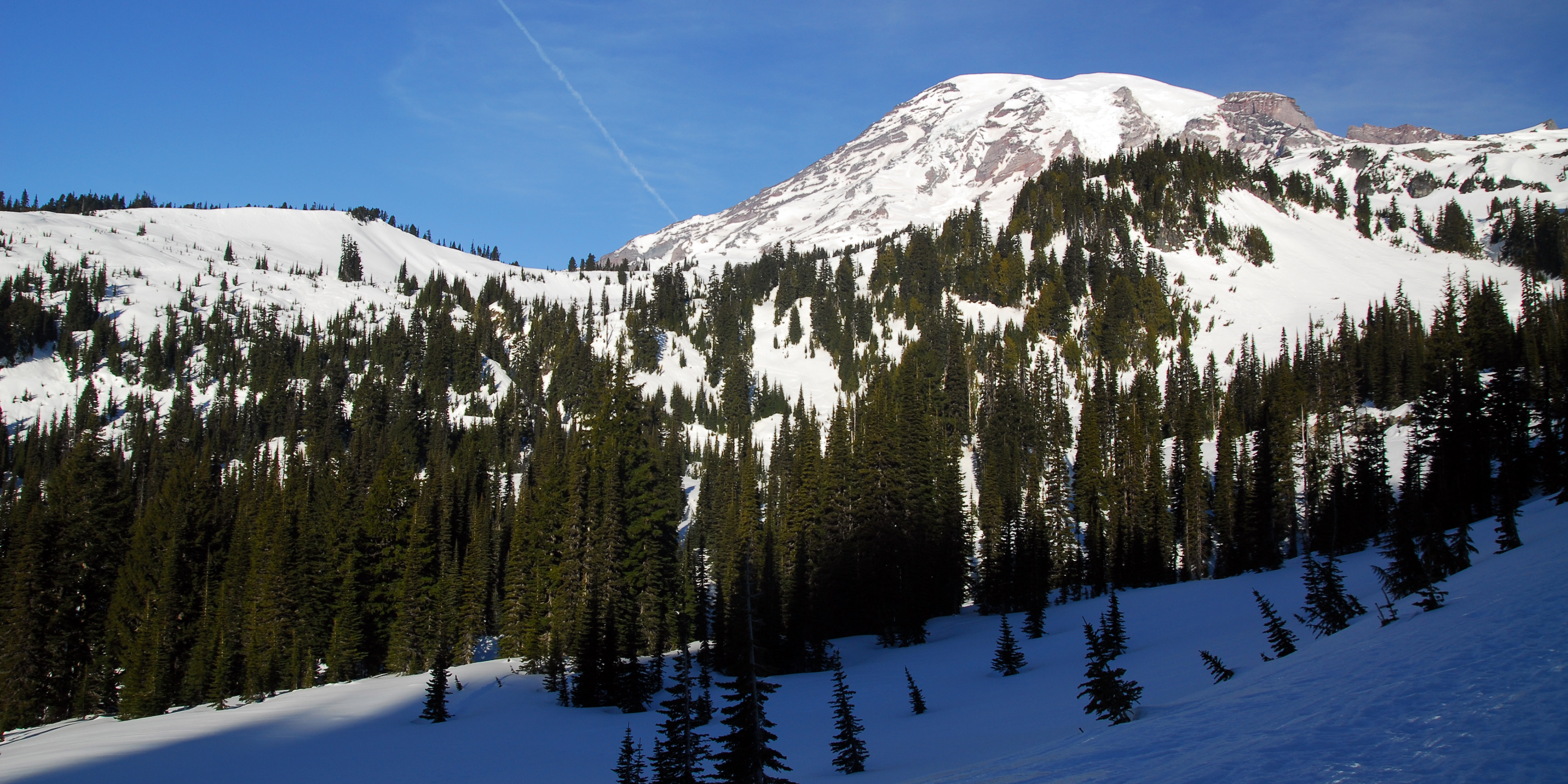 Paradise Valley Snowshoe Loop Mount Rainier National Park