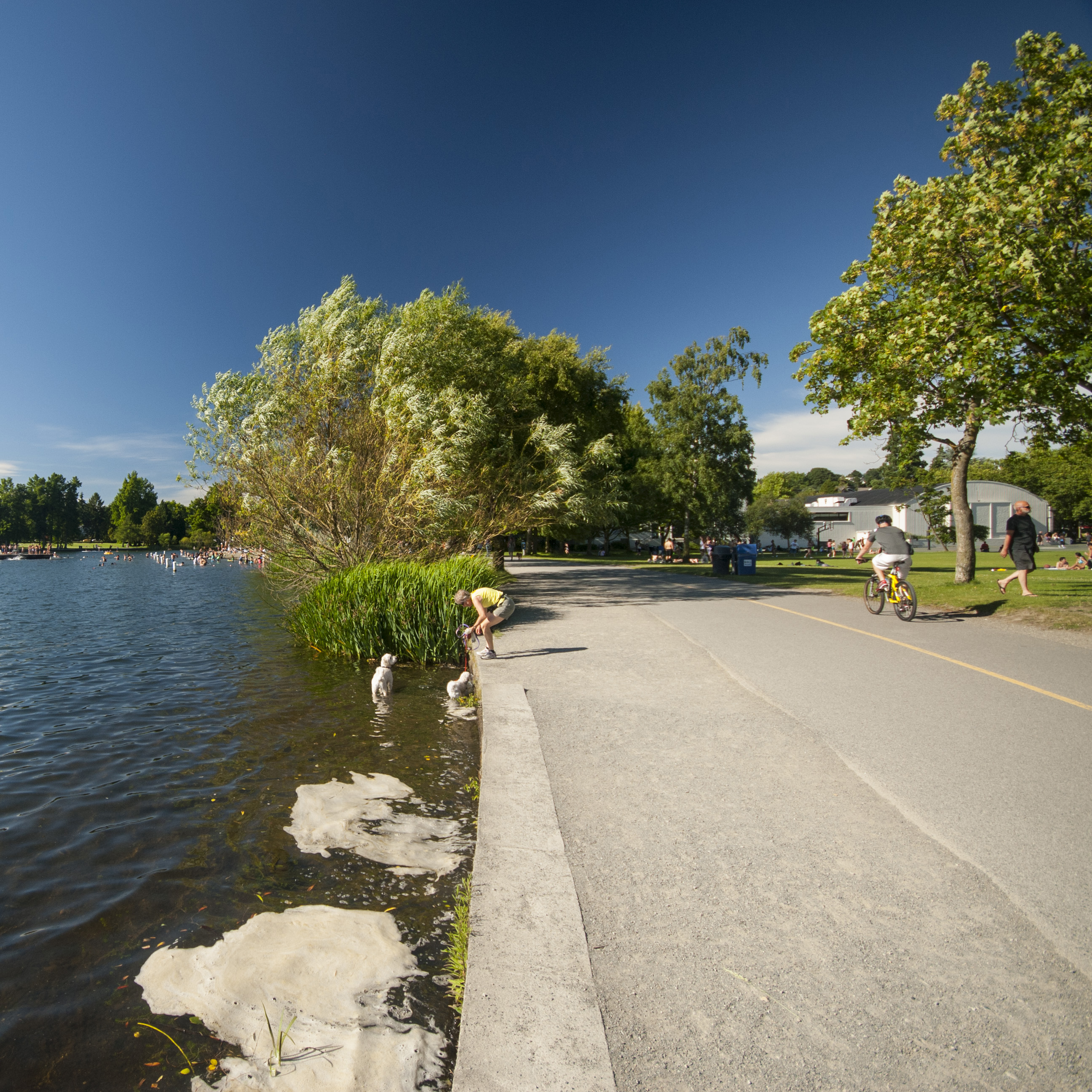 Green Lake Inner Loop Trail Green Lake Park hiking in Washington