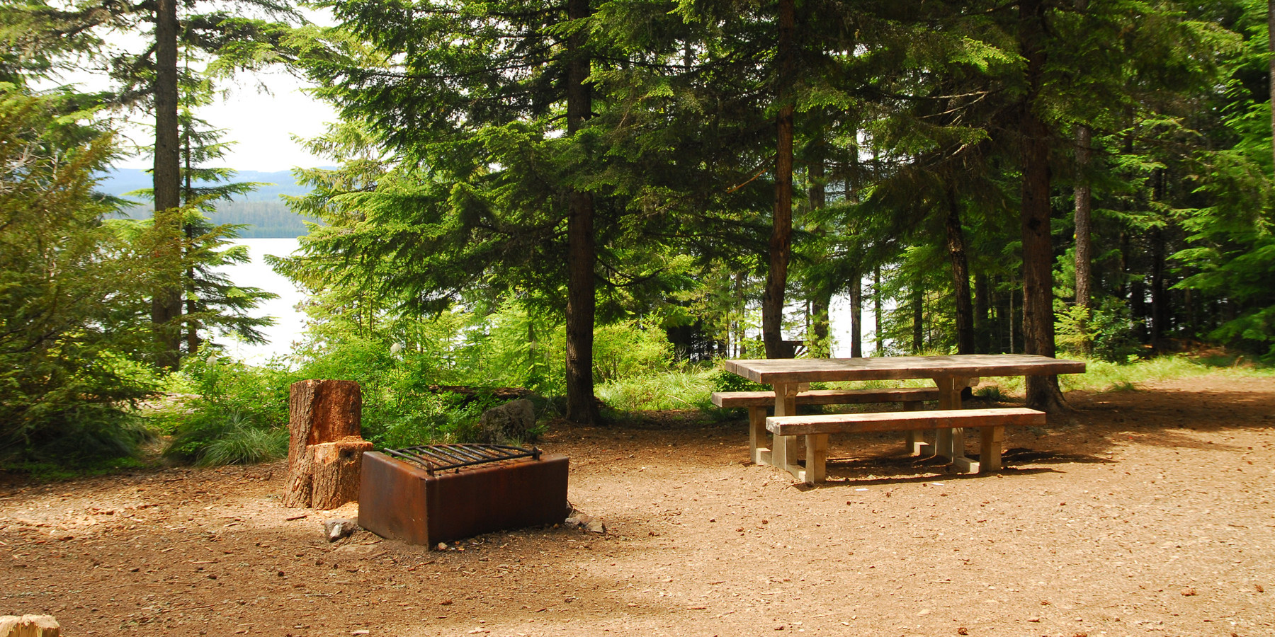 Timothy Lake, Oak Fork Campground camping in Oregon