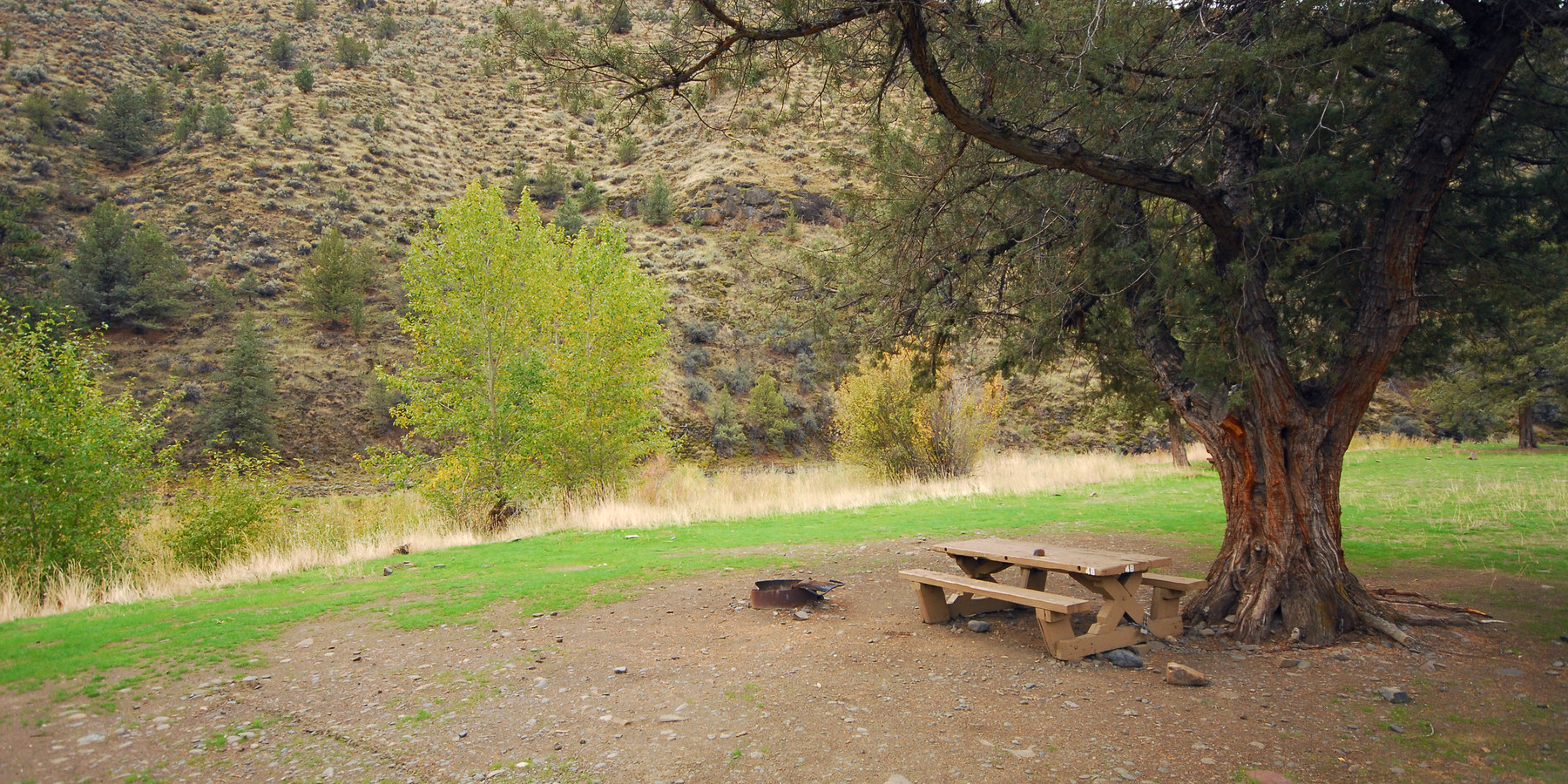 Big Bend Recreation Site John Day River camping in Oregon