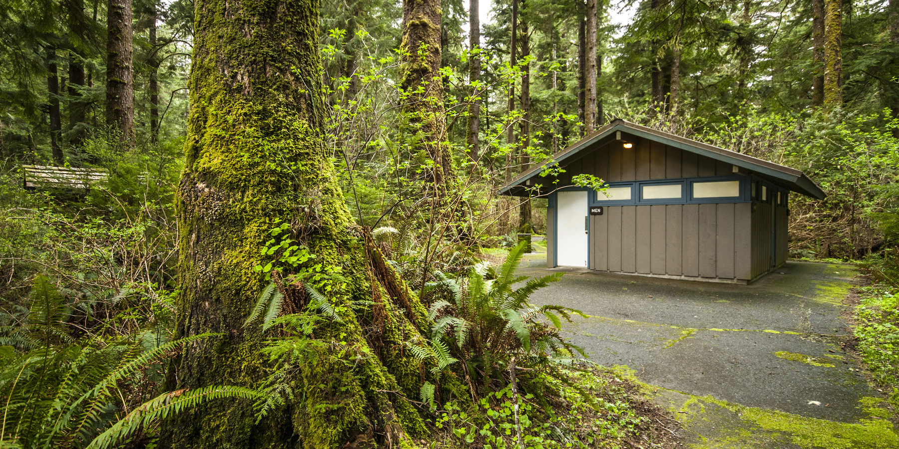 Mora Campground Olympic National Park camping in Washington