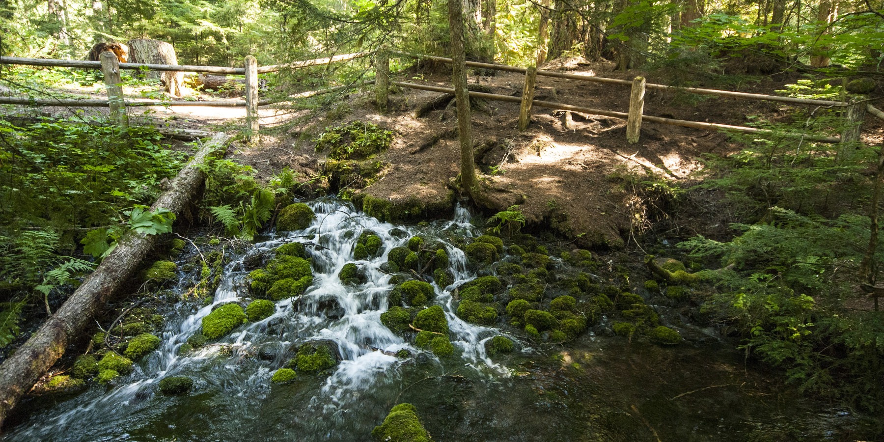 Silver Springs Campground Mount BakerSnoqualmie National Forest