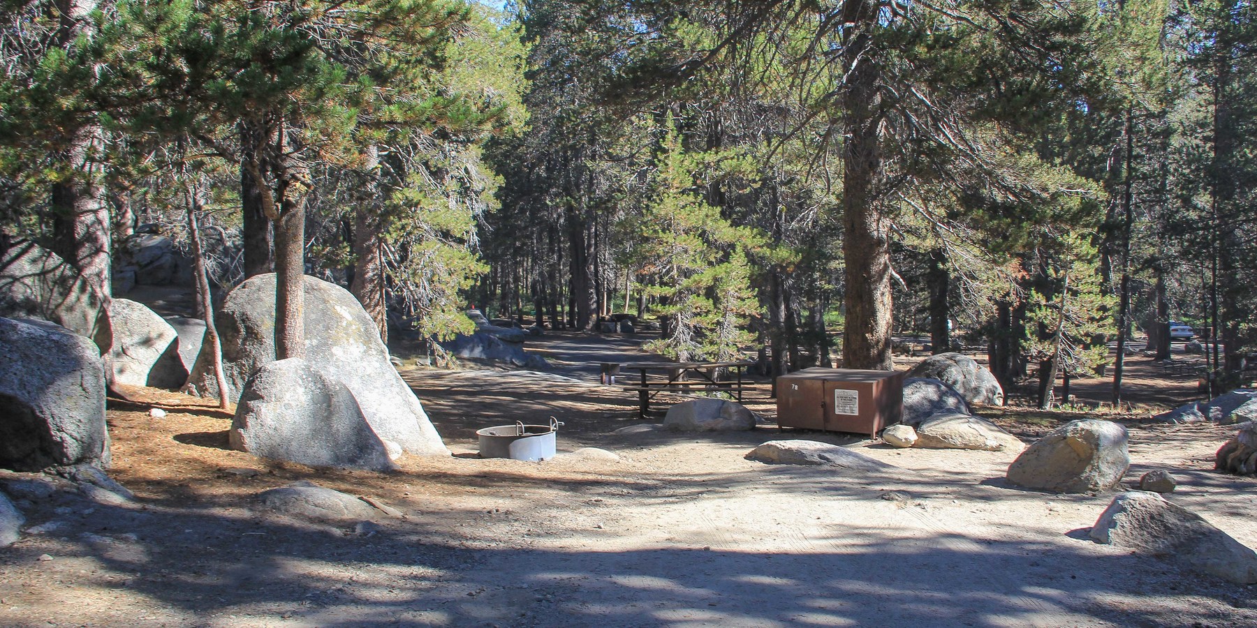 Bridalveil Creek Campground Yosemite National Park camping in California
