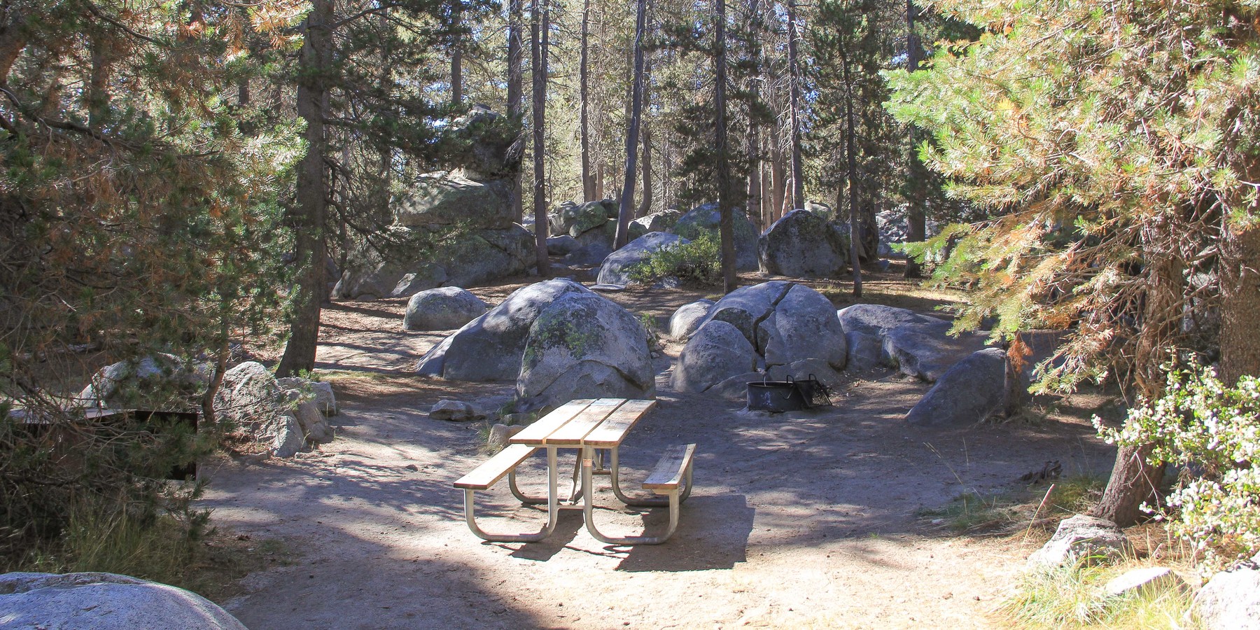 Bridalveil Creek Campground Yosemite National Park camping in California
