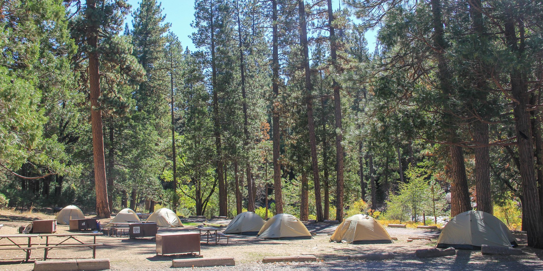 Wawona Campground Yosemite National Park camping in California