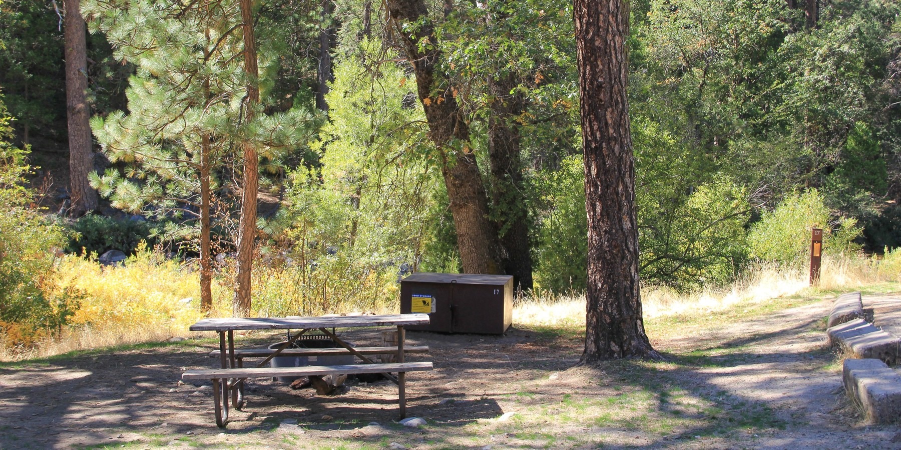 Wawona Campground Yosemite National Park camping in California