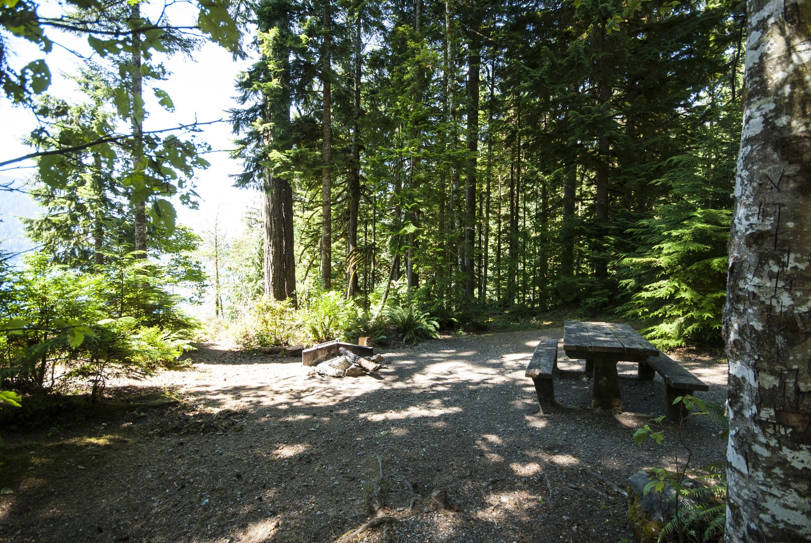 Baker Lake, Shannon Creek Campground Mount BakerSnoqualmie National