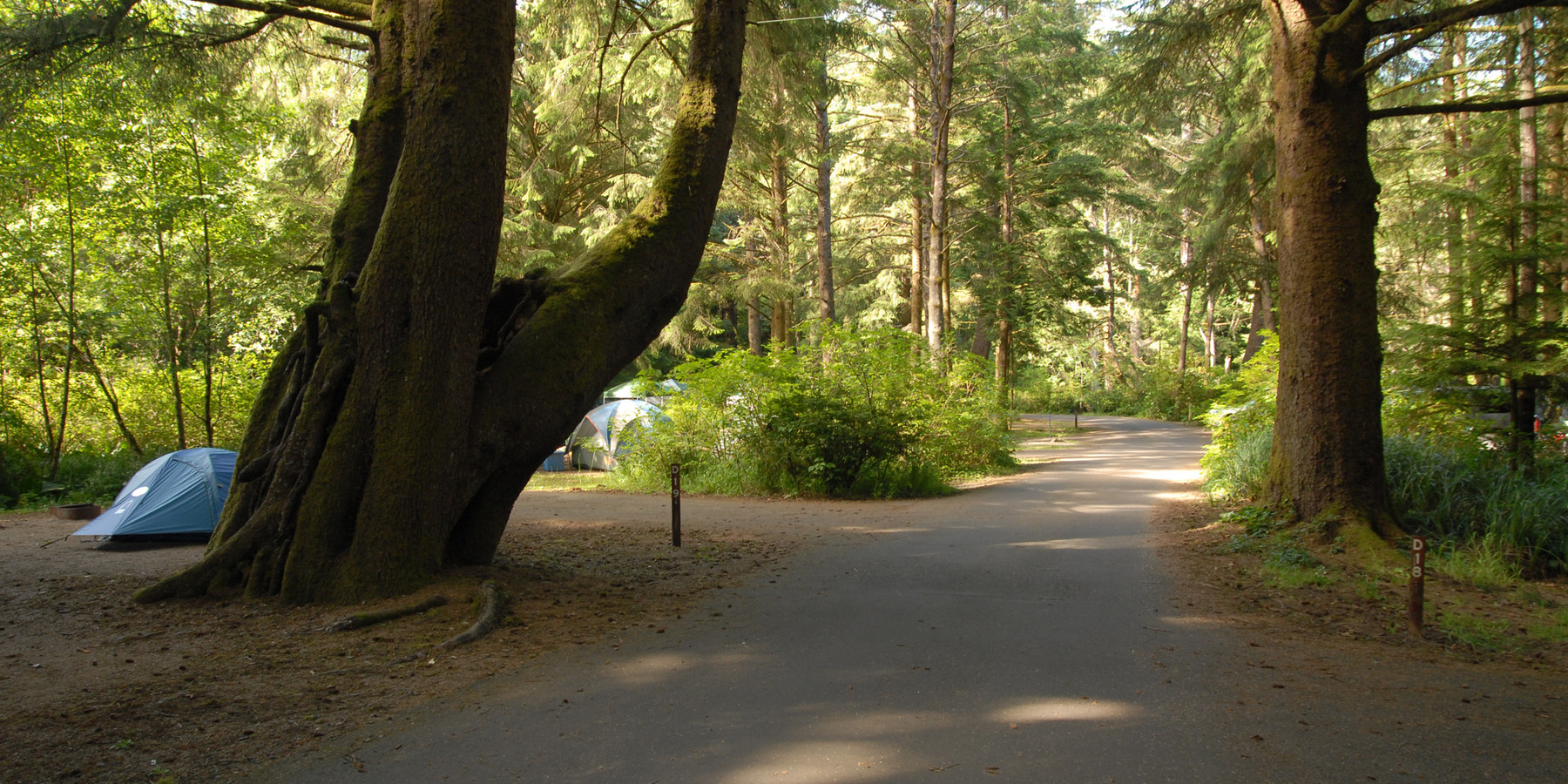 Beverly Beach State Park Campground camping in Oregon