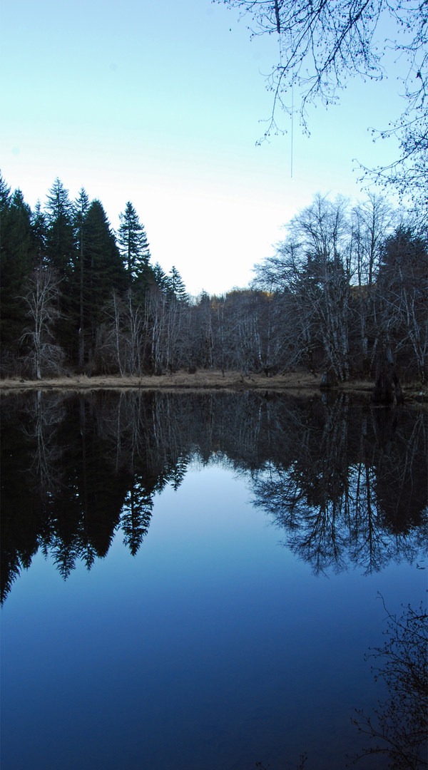 Upper Salmonberry River Trail hiking in Oregon