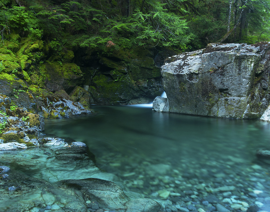 Opal Creek Wilderness Oregon