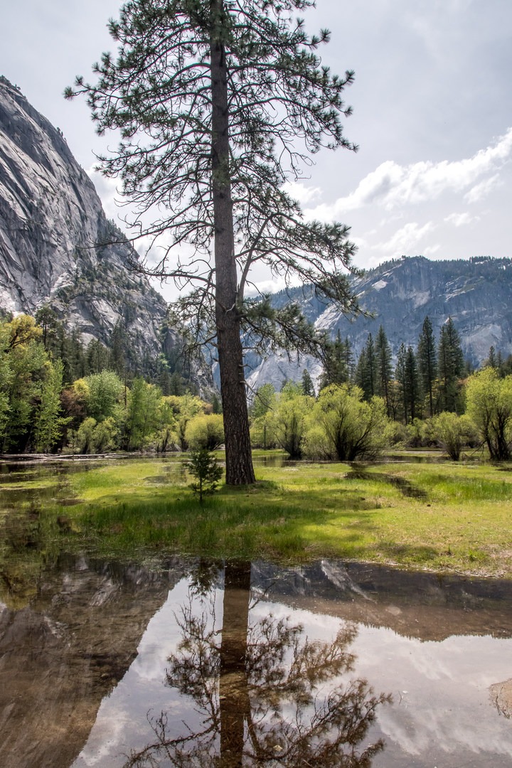 Mirror Lake Loop Yosemite National Park hiking in California