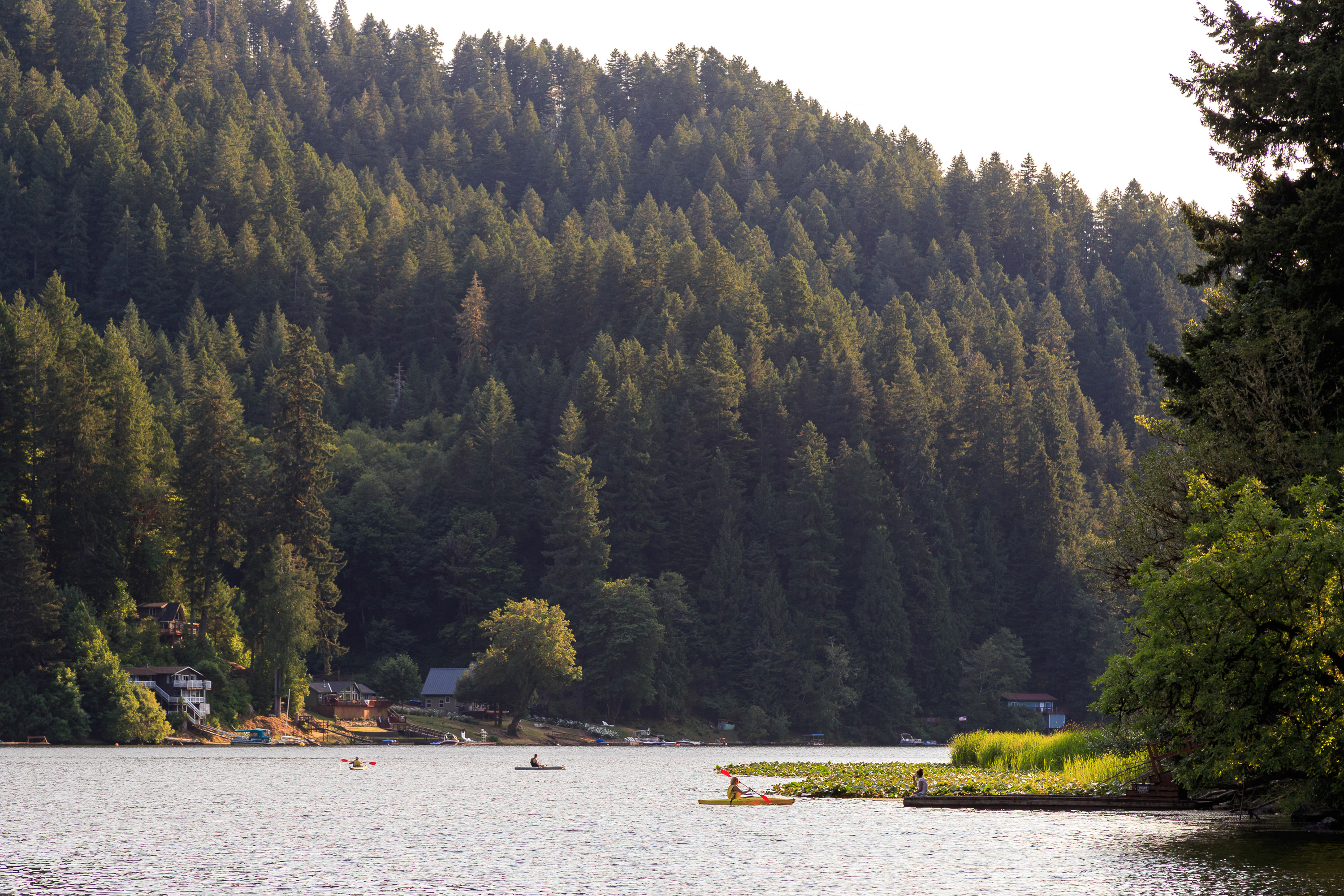 Loon Lake The Oregon Coast's Hidden Summer Destination Outdoor Project