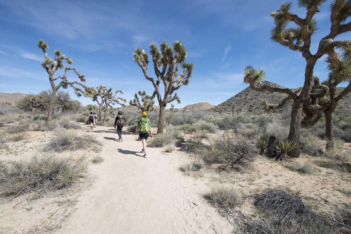 Joshua Tree National Park Outdoor Project
