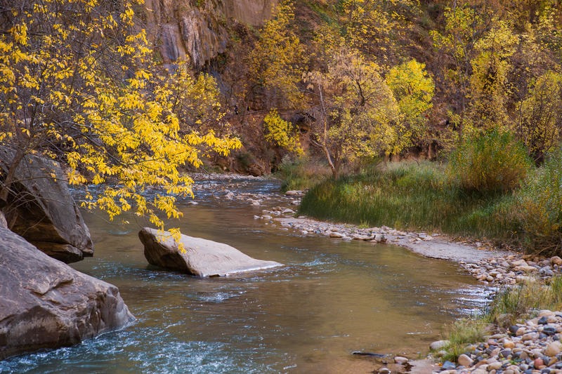 The Virgin River