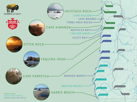 Tide Pool Chart