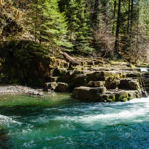 Brice Creek Trail, West Trailhead to Lund Campground Hike