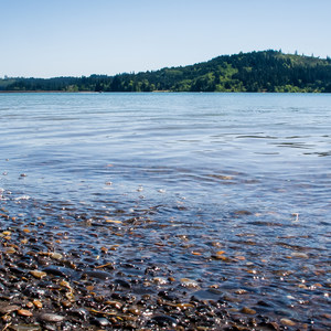 Henry Hagg Lake Canoe/Kayak