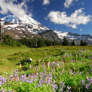 Spray Waterfall + Spray Park Hike