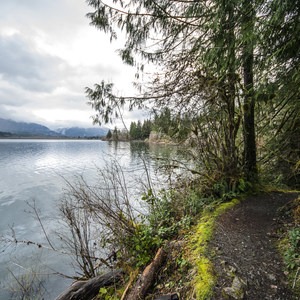 Quinault National Recreation Trail System, Cedar Loop