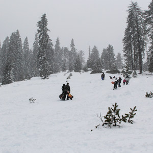 Wolverton Meadow Snowplay Area