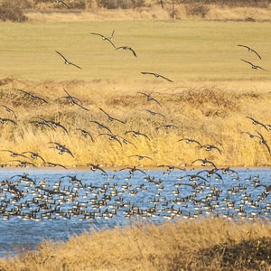Steigerwald Lake National Wildlife Refuge