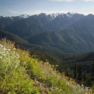 Hurricane Hill Trail
