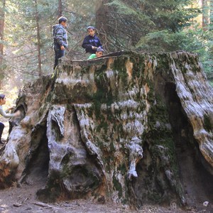 Atwell Mill Campground