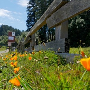 Sky Trail Loop, Bear Valley to Mount Wittenberg