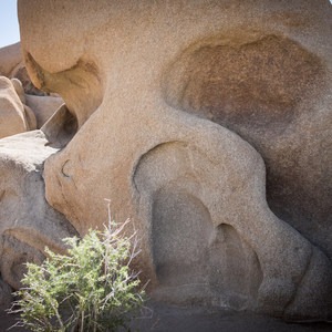 Skull Rock Nature Trail