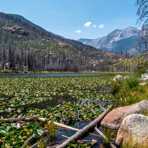The Pool + Cub Lake Loop Hike