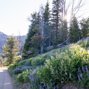 Seven Devils Campground