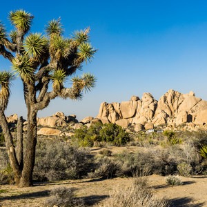 Split Rock Loop Hike