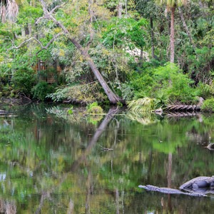 Homosassa Springs Wildlife State Park