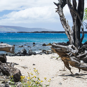 Hoapili Trail / King's Highway