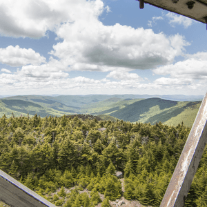 Becker Hollow to Hunter Fire Tower