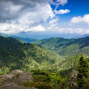 Appalachian Trail: Newfound Gap to Charlie's Bunion