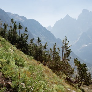 Paintbrush Canyon to Cascade Canyon Loop