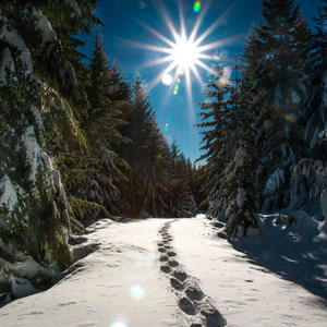 Ikenick Sno-Park Snowshoe