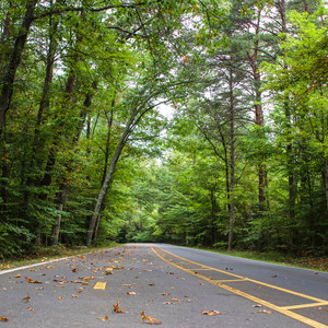 Oak Ridge Campground CoA