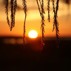 Canaveral National Seashore