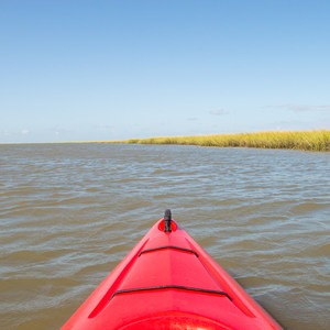 Bulls Island Sea Kayaking