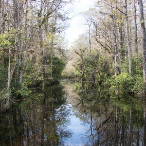 Loop Road Scenic Drive