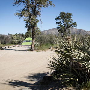 Piñyon Flat Campground