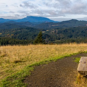 Fitton Green Natural Area