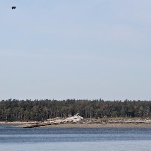 Portage Island Paddle