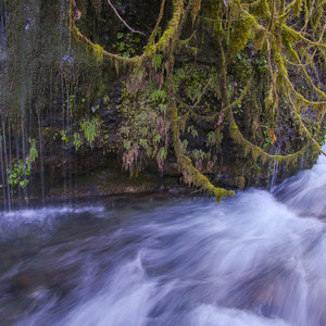 Icy Creek Spring in the Green River Gorge