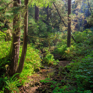 Oregon Coast Trail Section 3