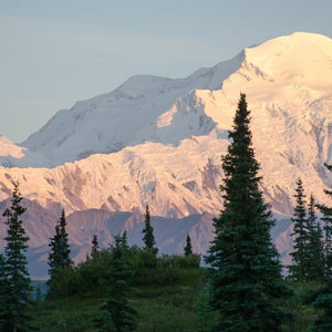 Wonder Lake Campground