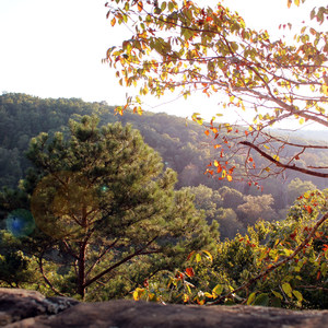 Whitaker Point Trail + Hawksbill Crag